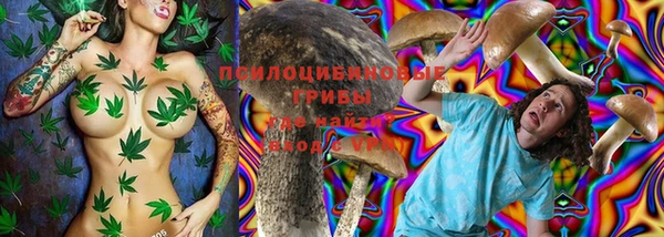 твердый Аркадак