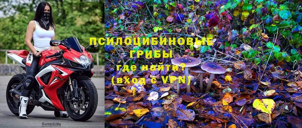твердый Аркадак