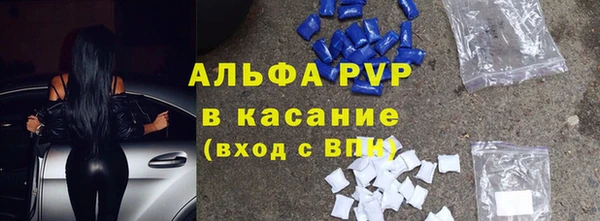 твердый Аркадак